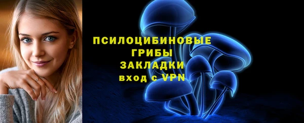 гидропоника Кодинск