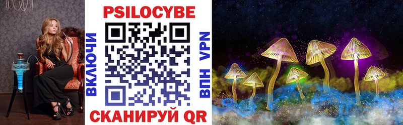 Купить закладки  Волоколамск  Псилоцибиновые грибы GOLDEN TEACHER 