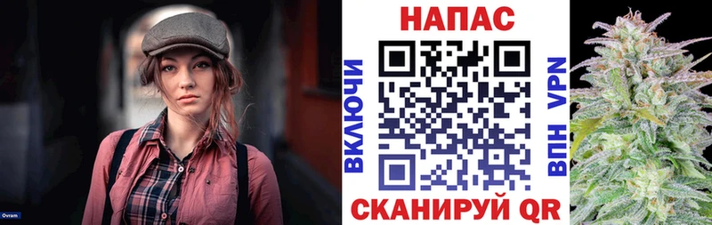 Купить где  Волоколамск  Каннабис White Widow 
